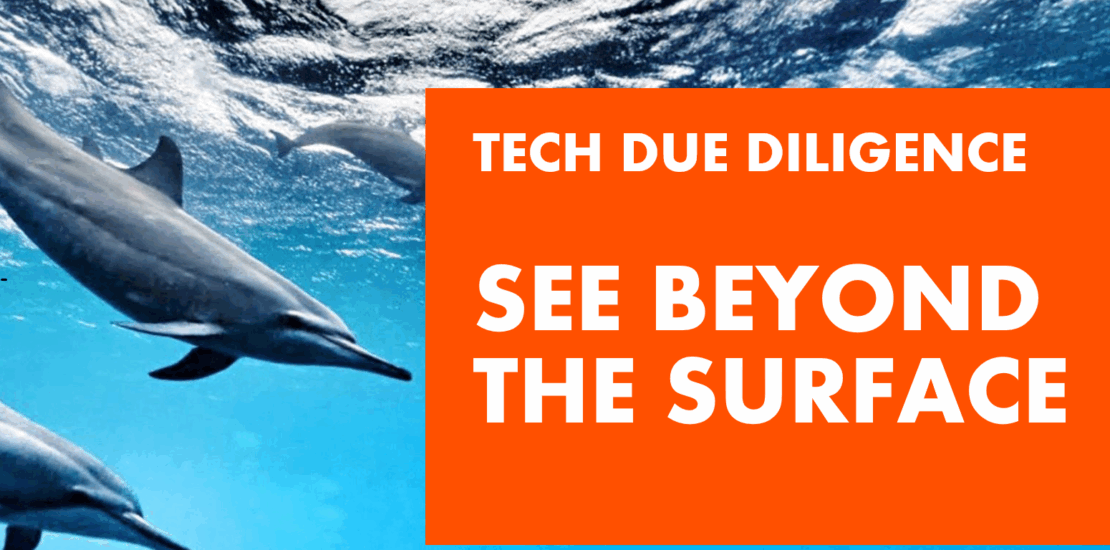 Relentica: See Beyond The Surface - three dolphins swimming in the sea