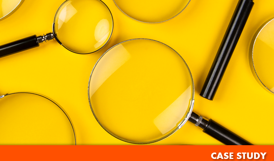 Relentica Case Study - Technology Due Diligence and Advisory