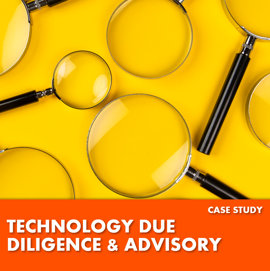 Relentica Case Study - Technology Due Diligence and Advisory